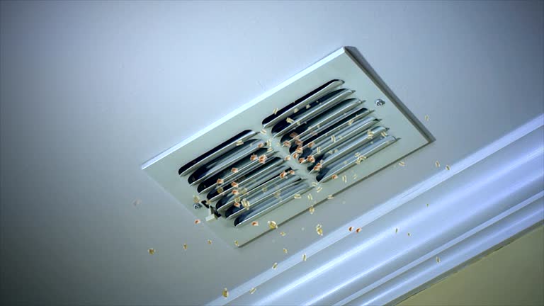 Air Duct Mold Removal in Farmville, NC
