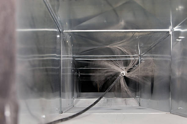 Best Air Duct Mold Removal  in Farmville, NC