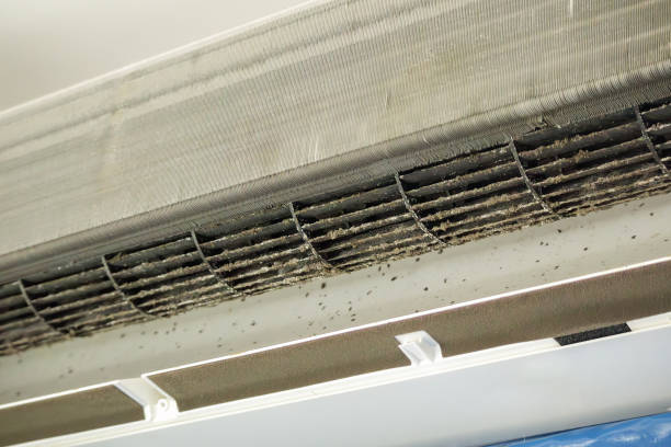 Best Affordable HVAC Duct Cleaning  in Farmville, NC